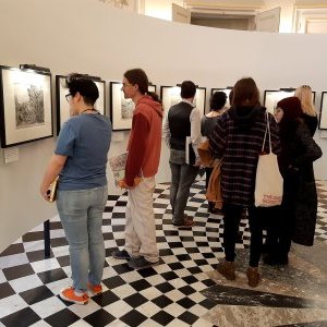 Workshop 2&nbsp;: Chaos - 6