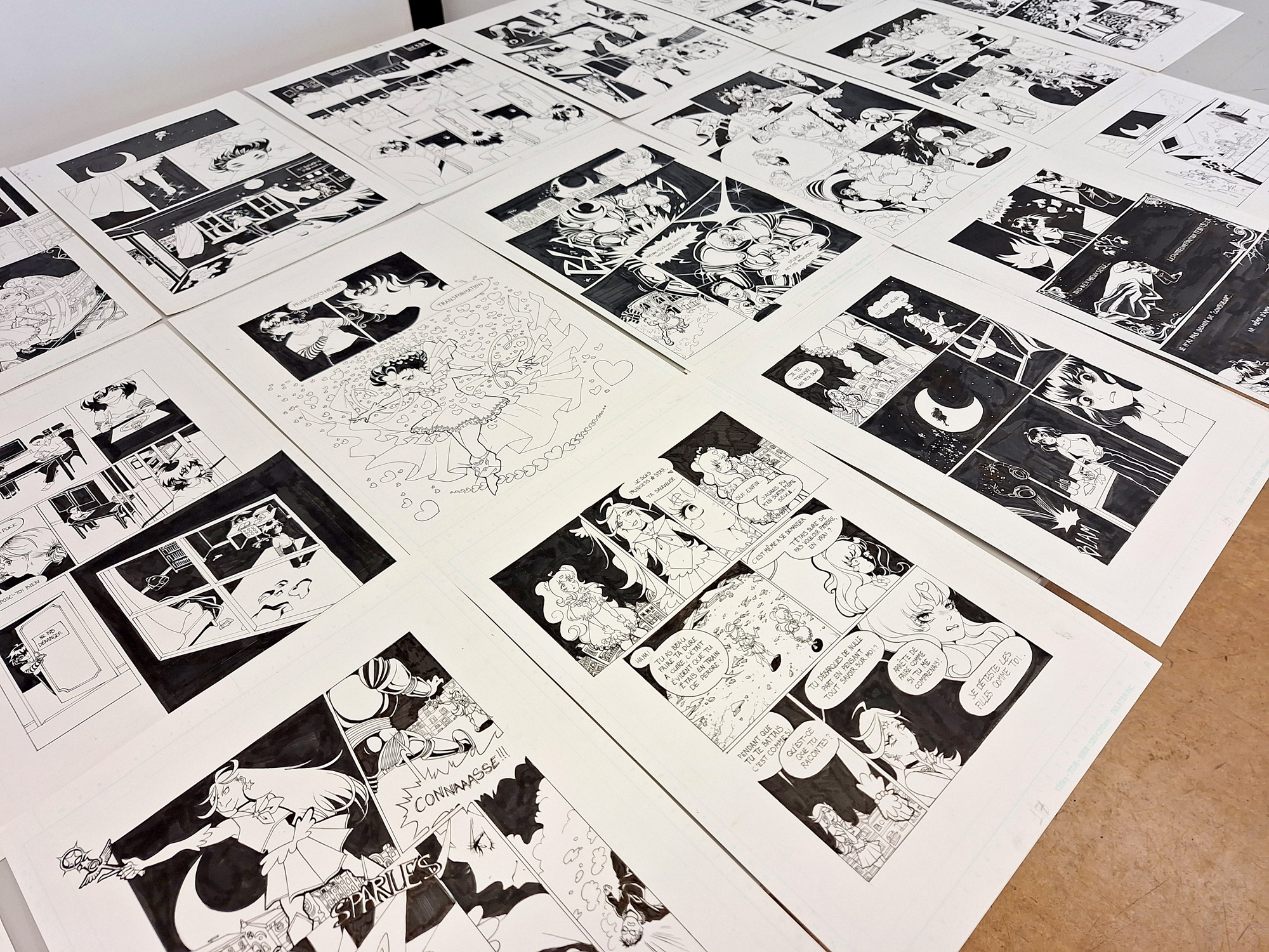 Go ! Fighting princess !, Camille Rousset