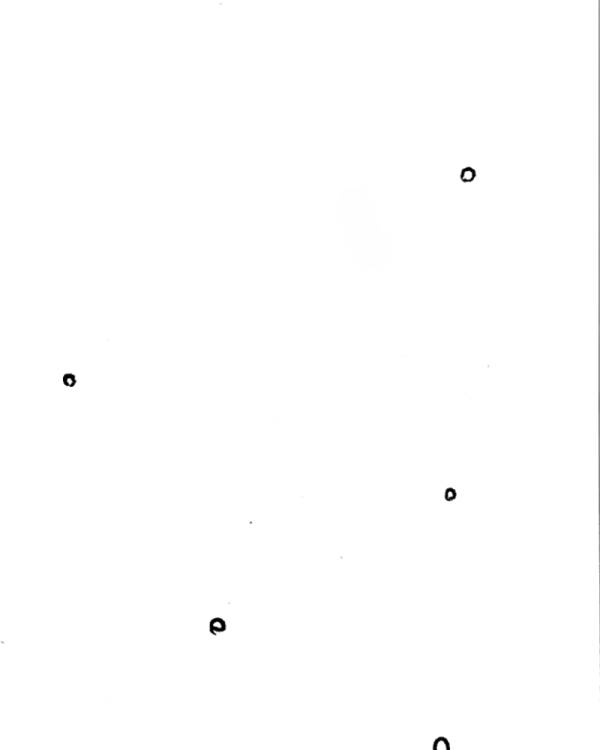 Luc-Michel Stieleman contre les zombis,  Jojo Prado,  page 1