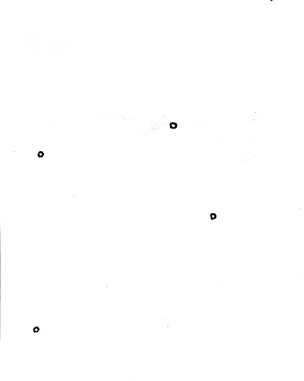 Luc-Michel Stieleman contre les zombis,  Jojo Prado,  page 3