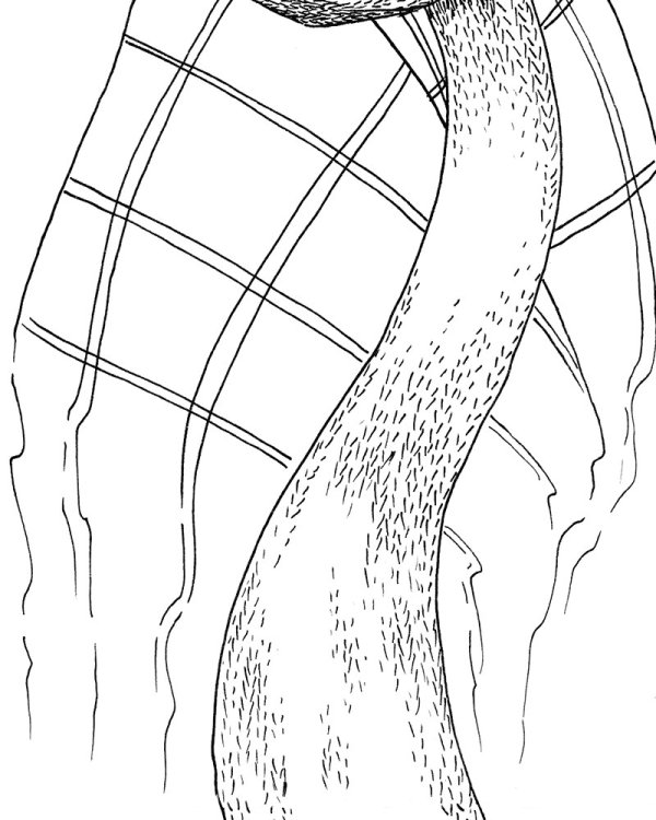 Au fil de la Sambre,  Marco Posada,  page 125