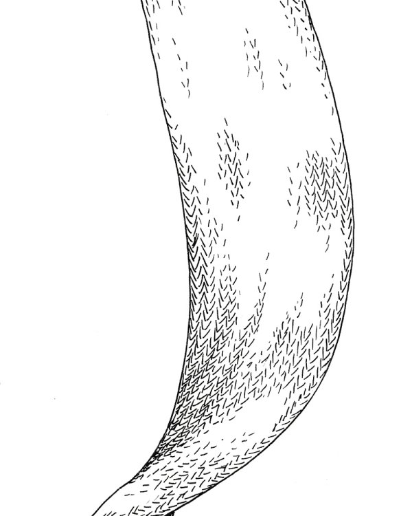 Au fil de la Sambre,  Marco Posada,  page 126