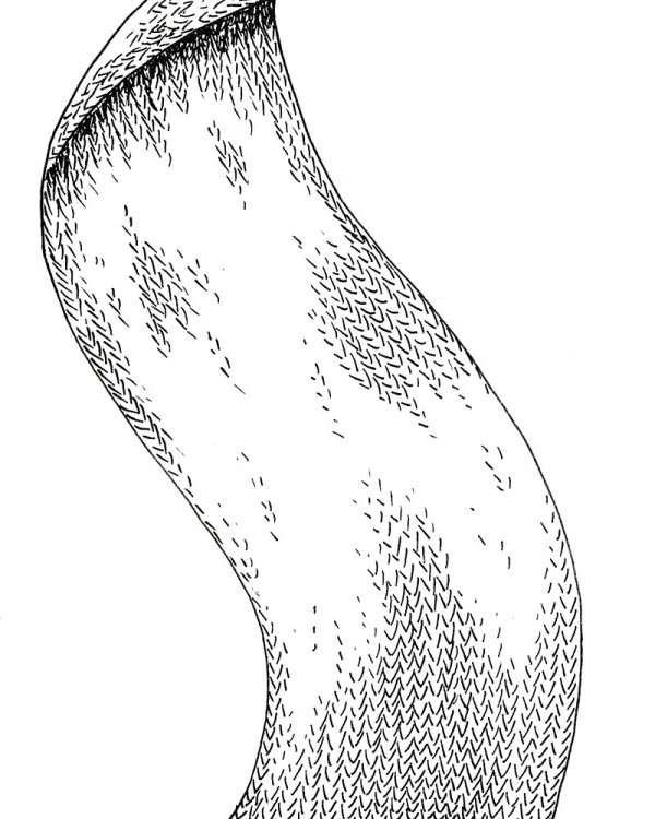 Au fil de la Sambre,  Marco Posada,  page 127