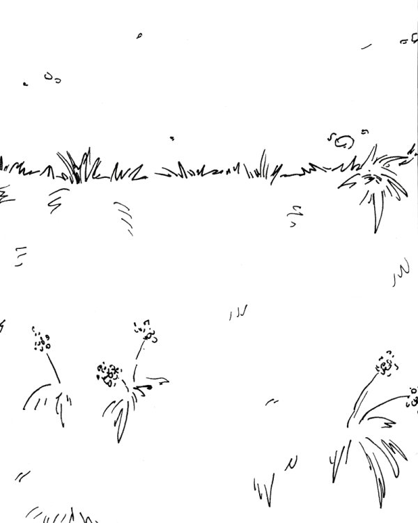 Au fil de la Sambre,  Marco Posada,  page 116