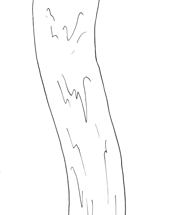 Au fil de la Sambre,  Marco Posada,  page 46