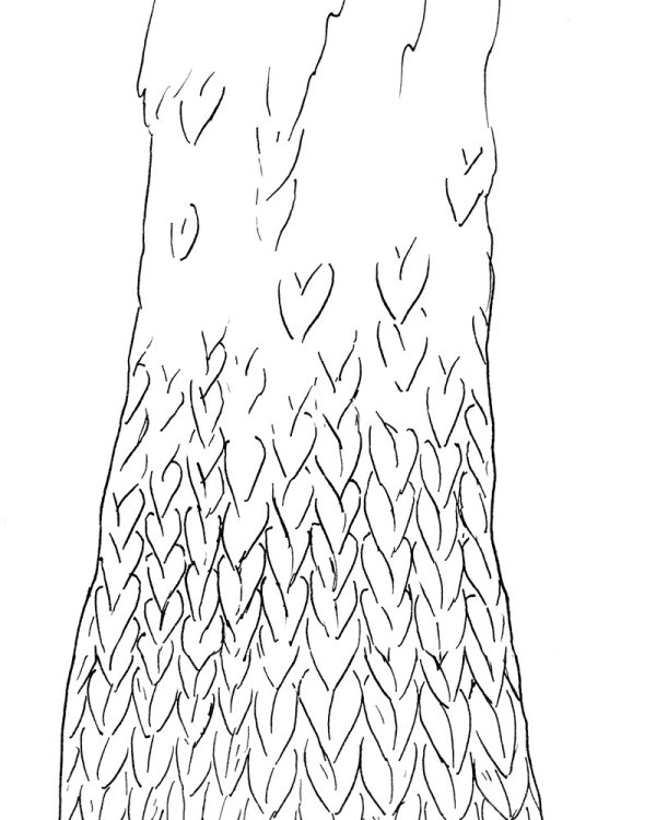 Au fil de la Sambre,  Marco Posada,  page 48