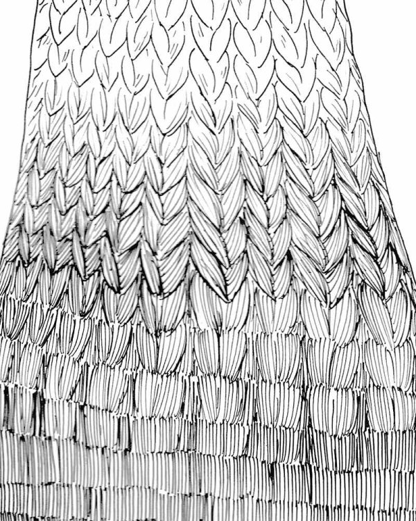 Au fil de la Sambre,  Marco Posada,  page 49