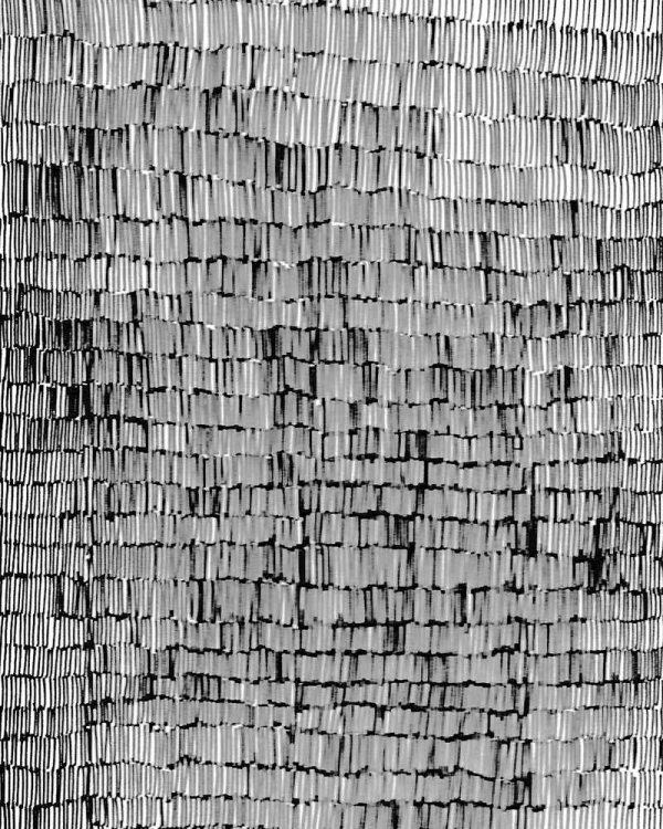 Au fil de la Sambre,  Marco Posada,  page 50