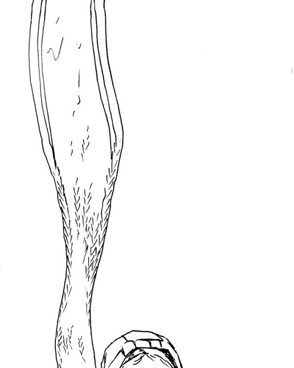 Au fil de la Sambre,  Marco Posada,  page 89