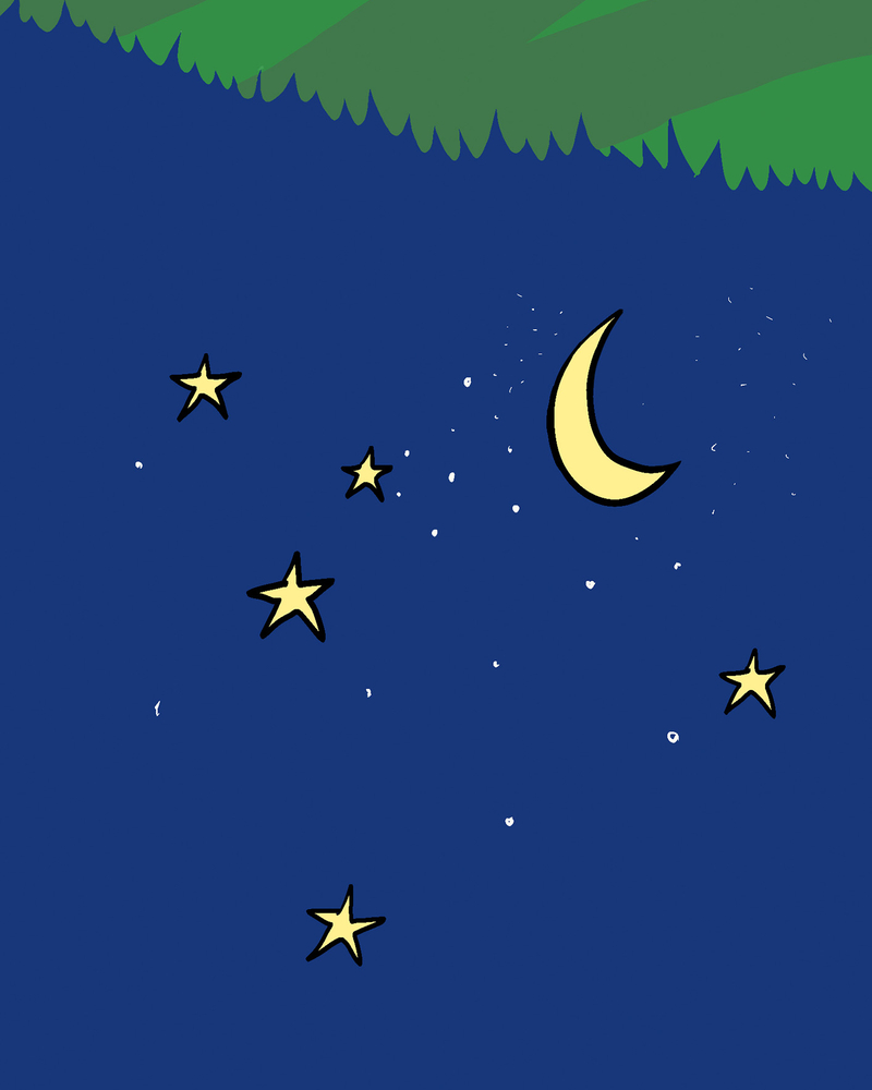 BEST FRIEND FOREVER,  Carline GREGOIRE,  page 17