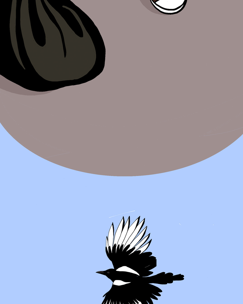 BEST FRIEND FOREVER,  Carline GREGOIRE,  page 39