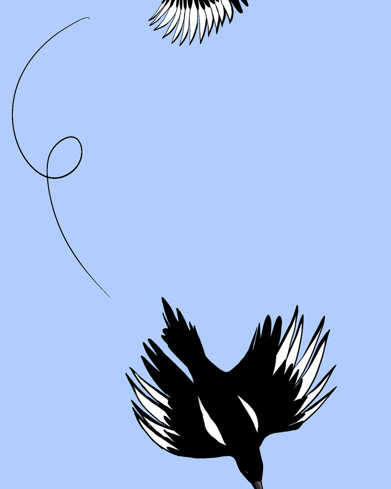 BEST FRIEND FOREVER,  Carline GREGOIRE,  page 40