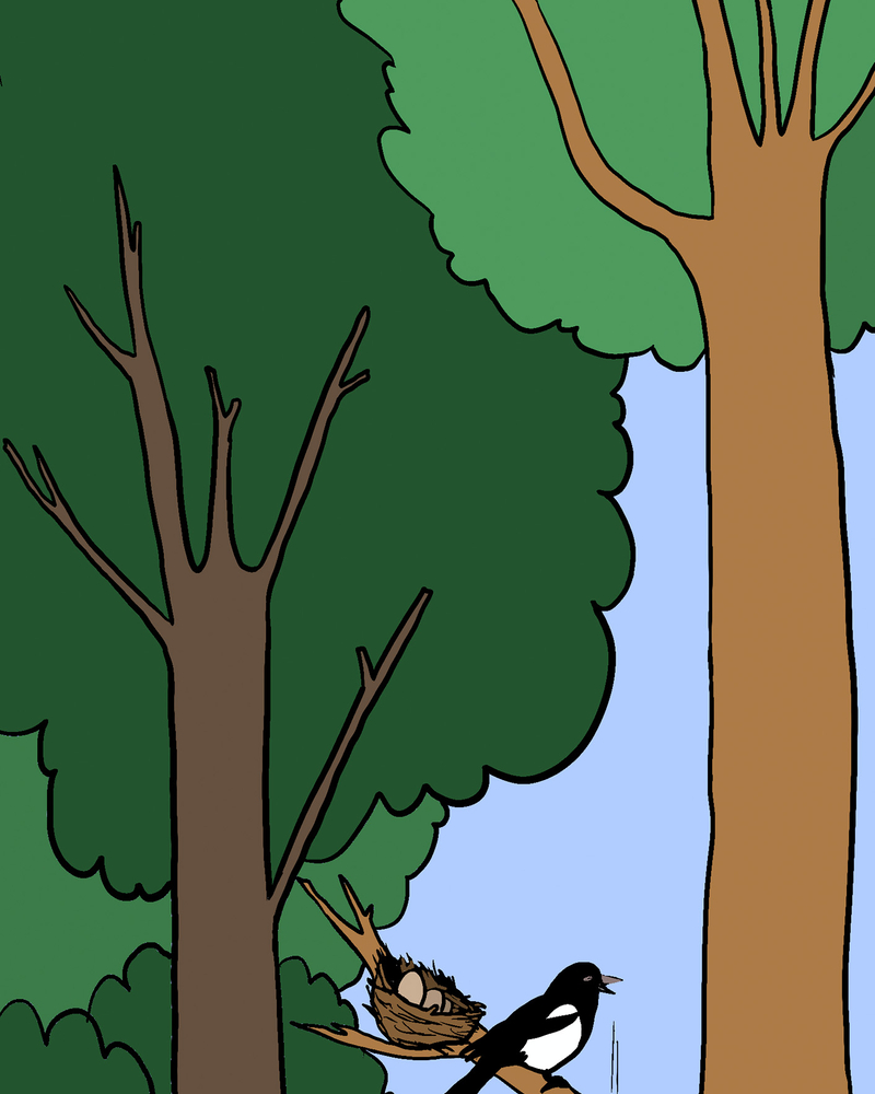 BEST FRIEND FOREVER,  Carline GREGOIRE,  page 49