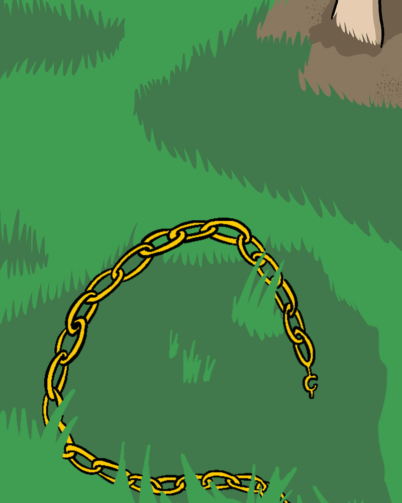 BEST FRIEND FOREVER,  Carline GREGOIRE,  page 61