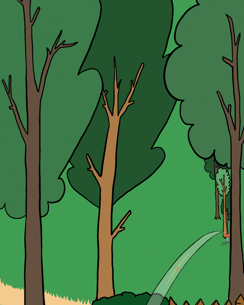 BEST FRIEND FOREVER,  Carline GREGOIRE,  page 70