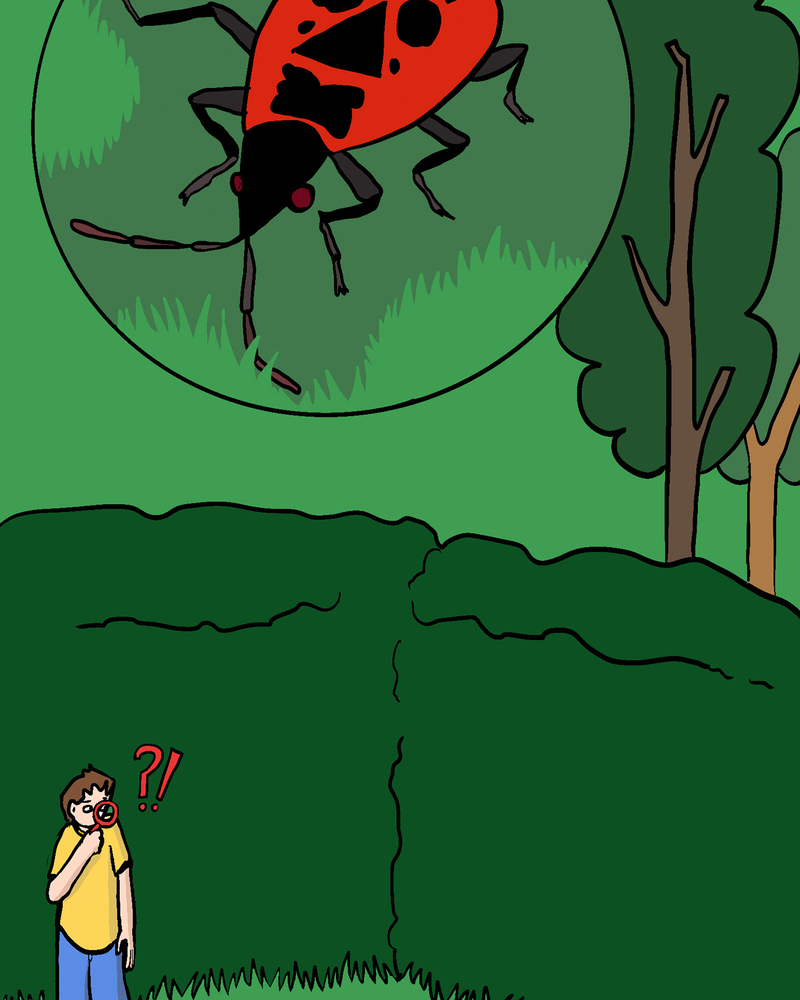 BEST FRIEND FOREVER,  Carline GREGOIRE,  page 75