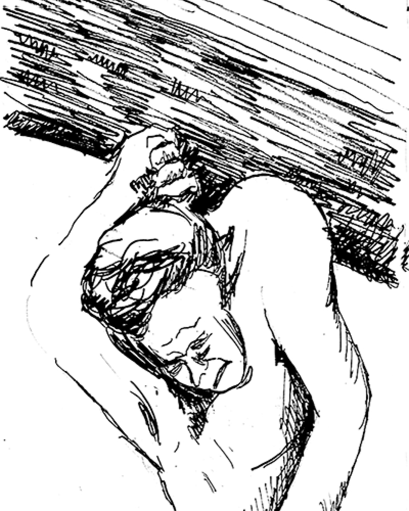 Le Pacte,  van Helvoort,Pim,  page 12