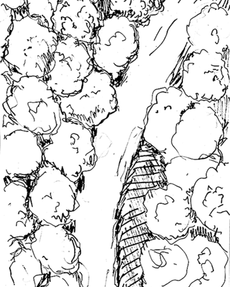 Le Pacte,  van Helvoort,Pim,  page 17