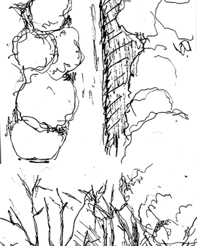 Le Pacte,  van Helvoort,Pim,  page 18