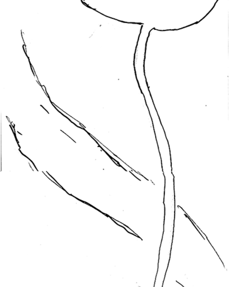 Le Pacte,  van Helvoort,Pim,  page 23