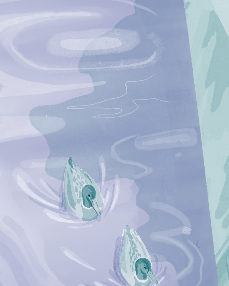 Baignade à tes côtés,  Elise Piette,  page 44