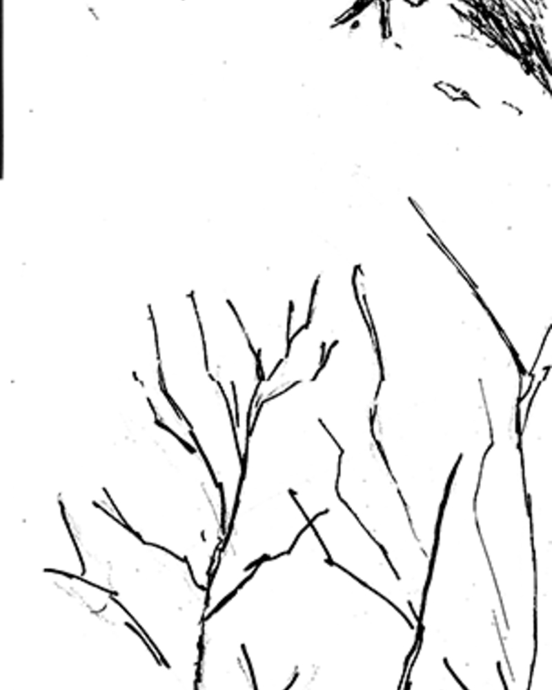 Le Pacte,  van Helvoort,Pim,  page 44