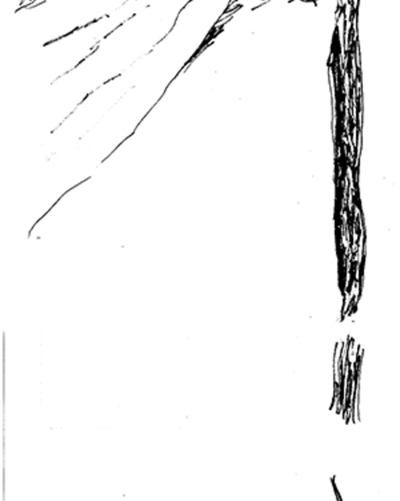 Le Pacte,  van Helvoort,Pim,  page 31