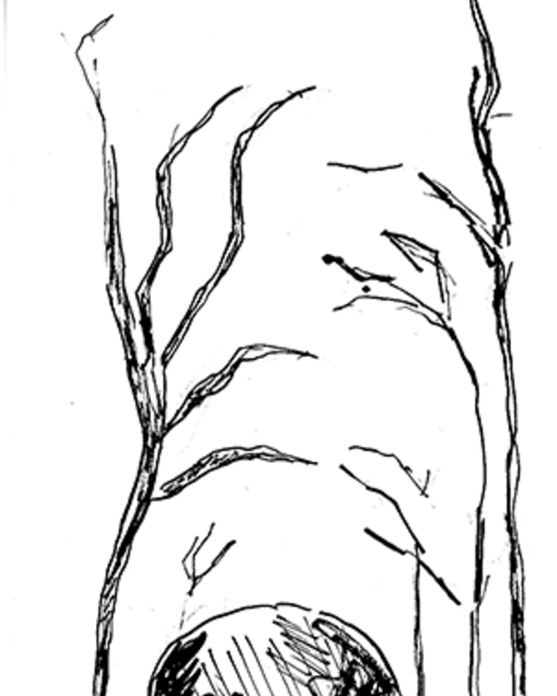 Le Pacte,  van Helvoort,Pim,  page 32