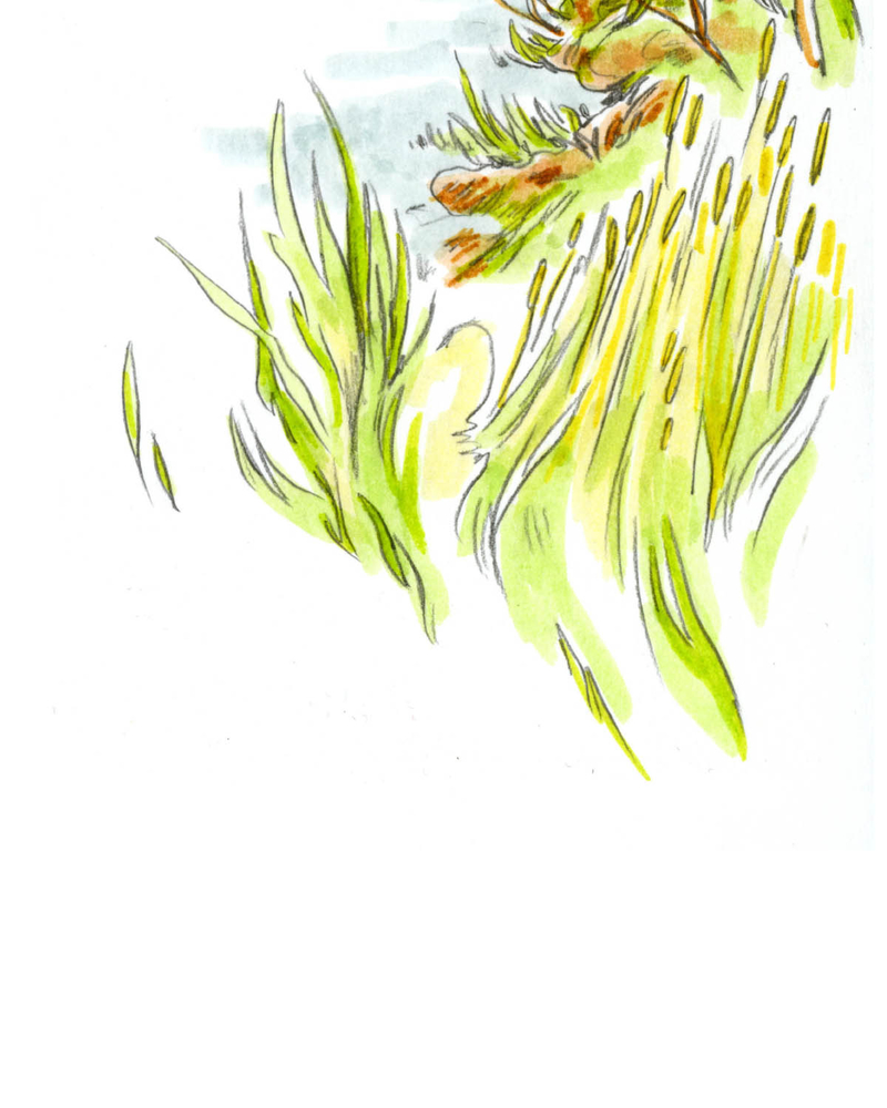 Clarisse et Lola,  Maïa Hamilcaro-Berlin,  page 54