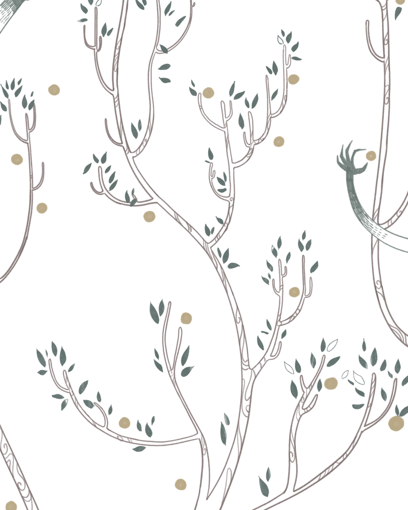 Invîye, le fruit et la rivière,  Dekimpe Pauline,  page 46