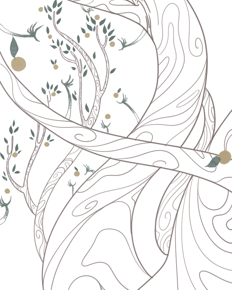 Invîye, le fruit et la rivière,  Dekimpe Pauline,  page 48