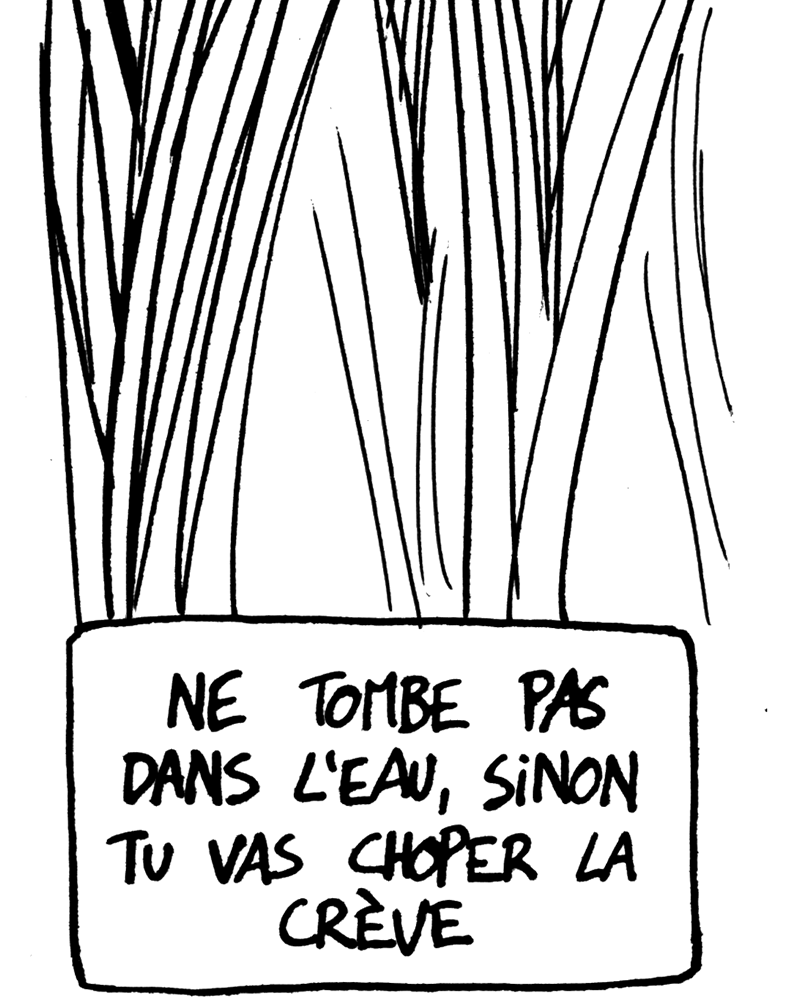 médée sur Sambre,  ivan de falleur,  page 11