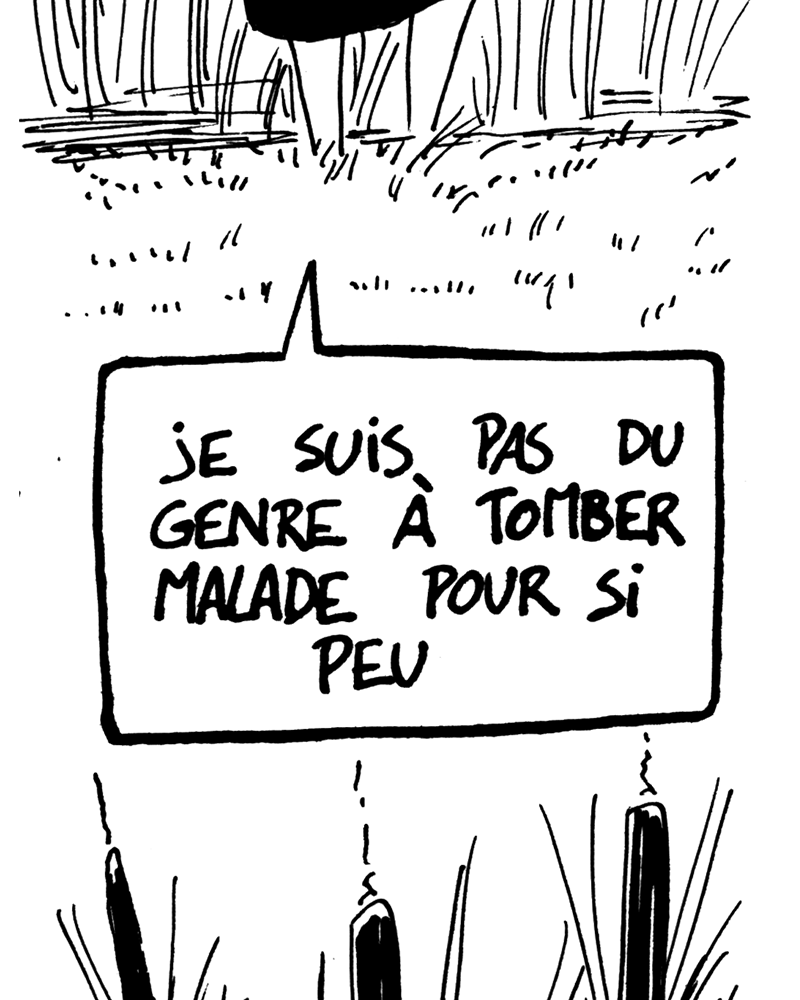 médée sur Sambre,  ivan de falleur,  page 13