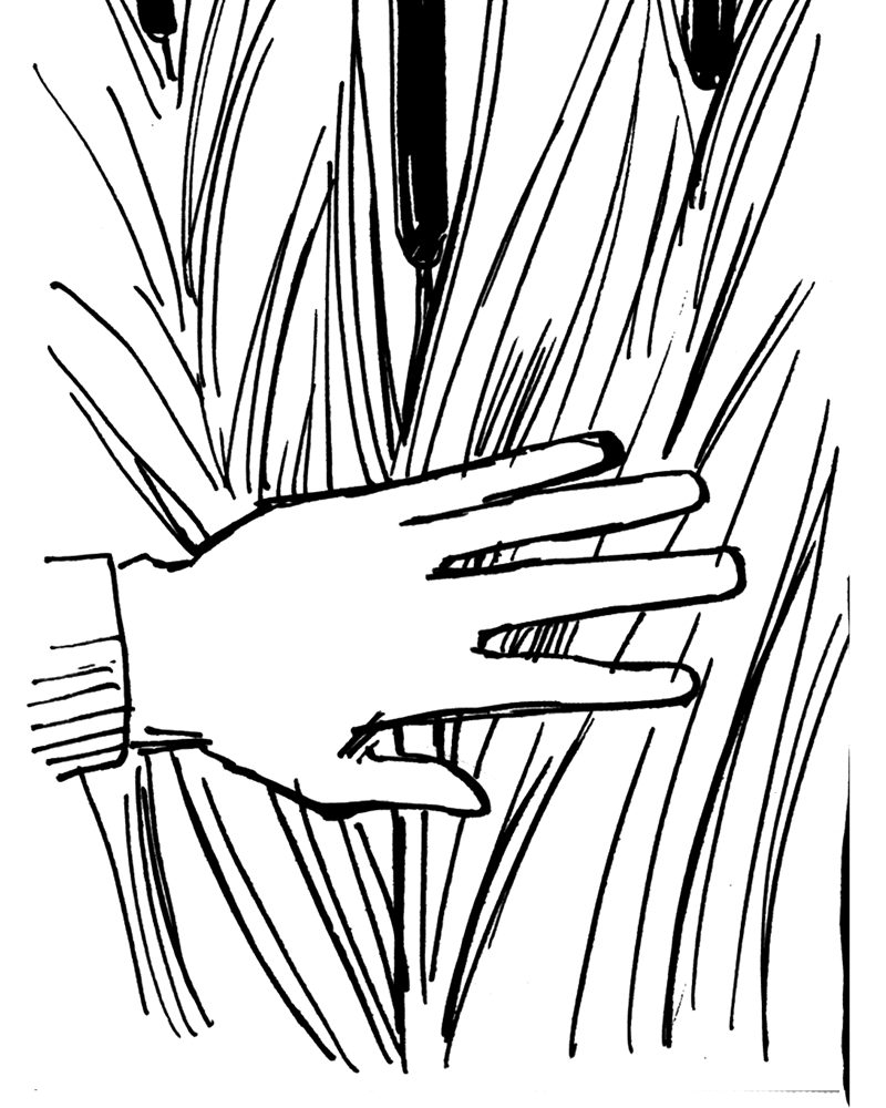 médée sur Sambre,  ivan de falleur,  page 14