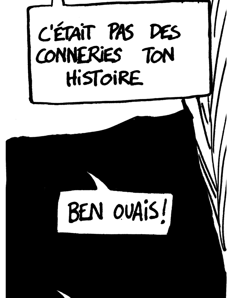 médée sur Sambre,  ivan de falleur,  page 17