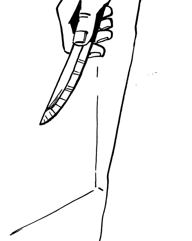 médée sur Sambre,  ivan de falleur,  page 48