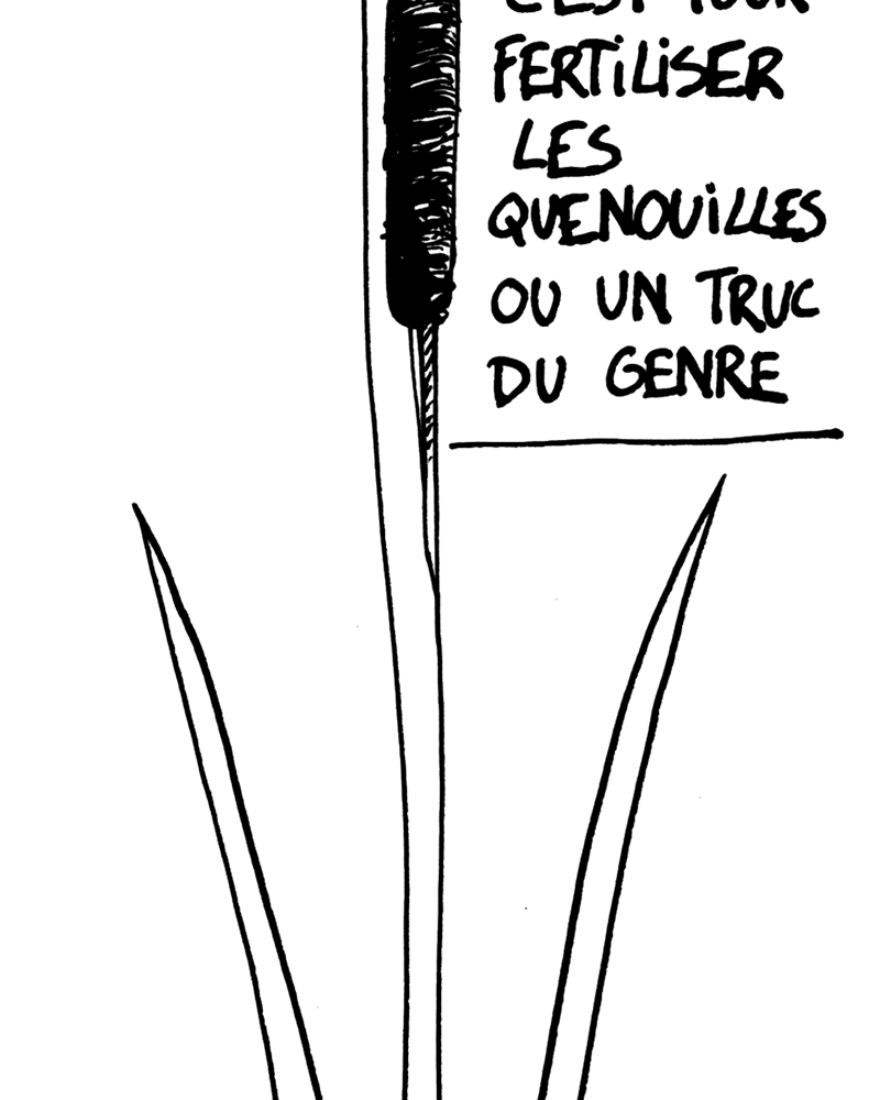 médée sur Sambre,  ivan de falleur,  page 60