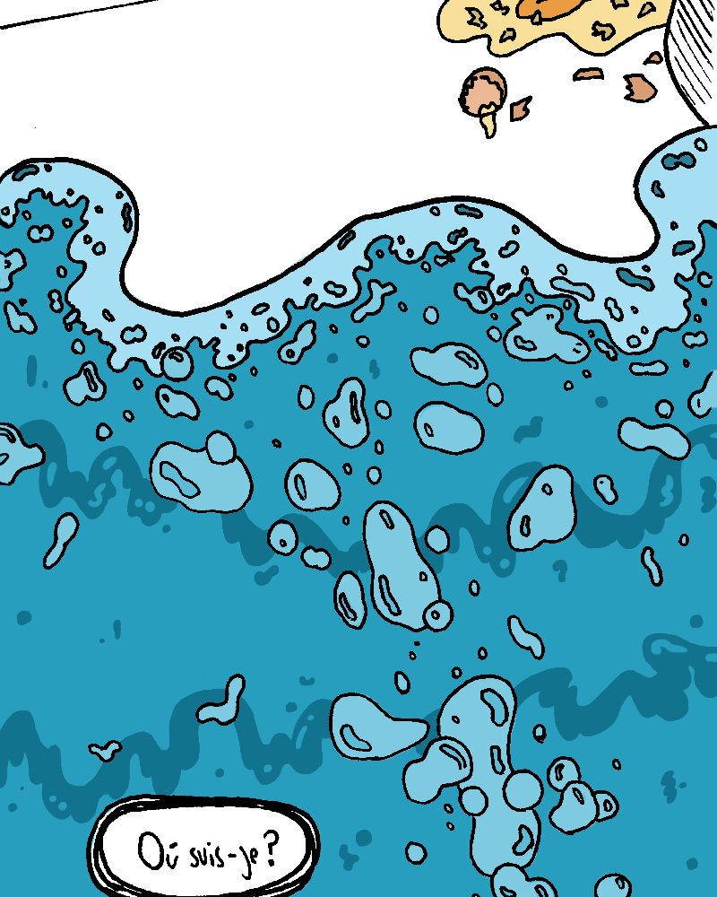 Malone JR,  Socca,  page 29