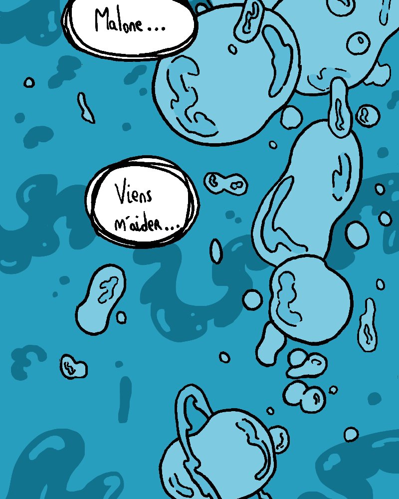 Malone JR,  Socca,  page 34