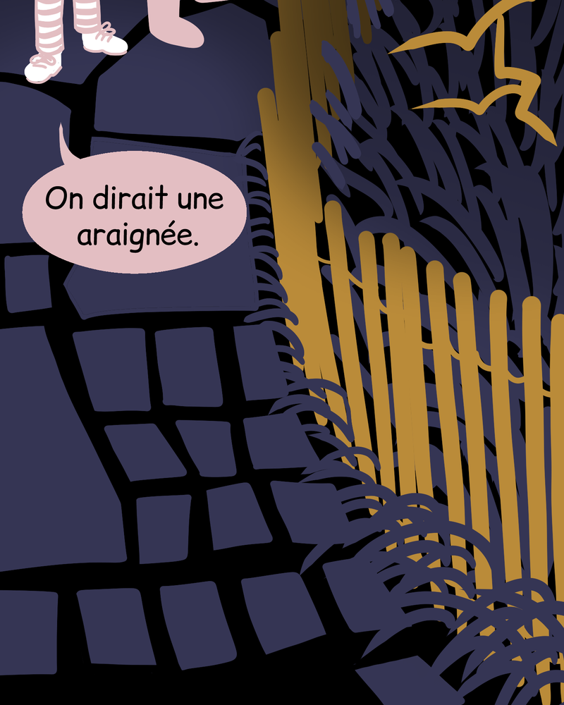 Dans la nuit,  Anaëlle Schang,  page 88