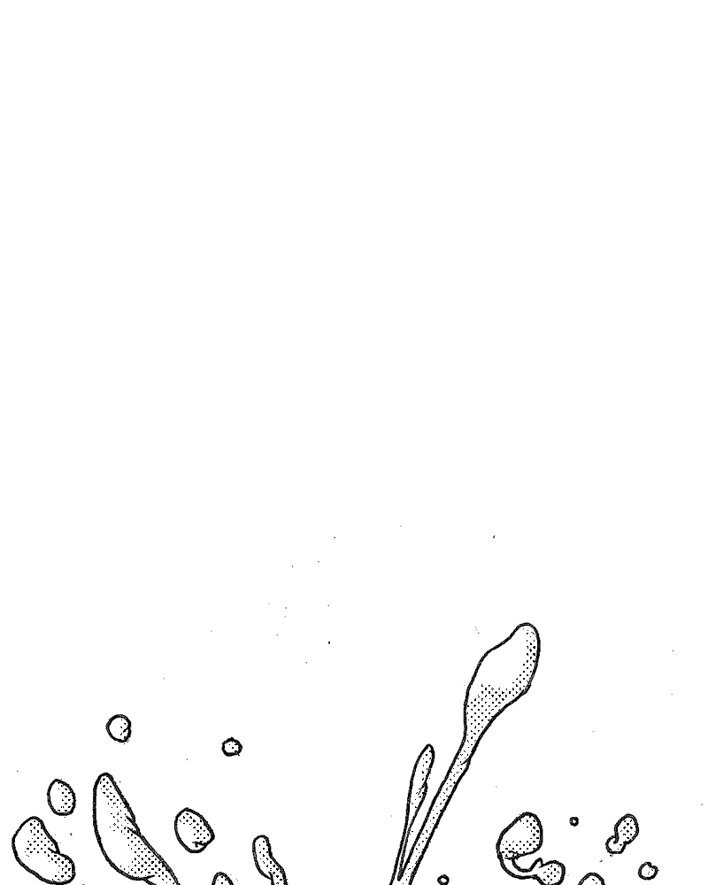 Histoire de Couteau,  Joseph Evrard,  page 61