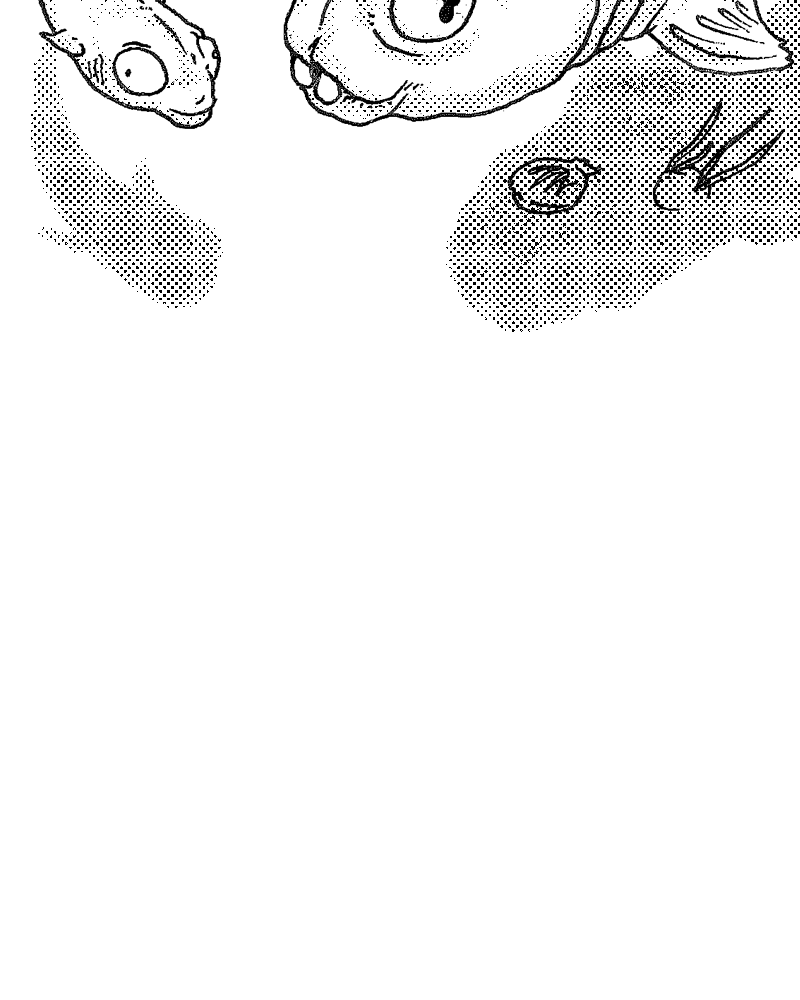 Histoire de Couteau,  Joseph Evrard,  page 64